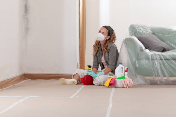 Reliable Mold Testing contractor in Clarence, PA by WQB Mold Removal